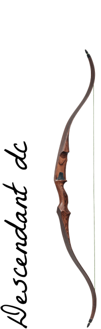 Descendant DC recurve bow